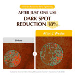 Face, Care, Face Care, K-Beauty, Sheet, Mask, Sheet Mask, Skin, Japan Mart