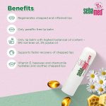 Face Care, Lip Balms/Lip Care, Skin, Japan Mart