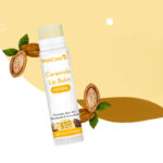 Face Care, Lip Balms/Lip Care, Skin, Japan Mart